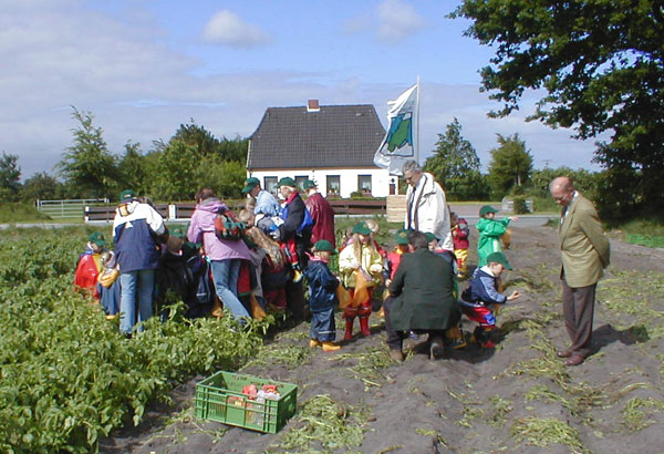 Frühkartoffeln vom Hof Neue Erde Bild 6