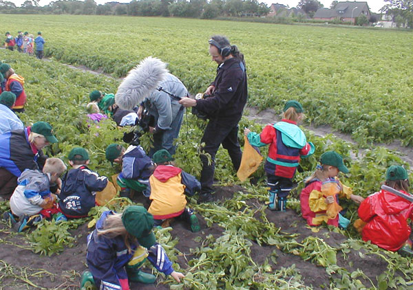 Frühkartoffeln vom Hof Neue Erde Bild 8