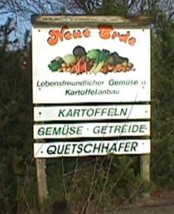 Hofschild